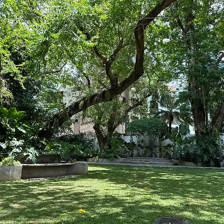 Miranamin Nest Banaba Suite - Garden View, Shared Kitchen, Pet Friendly