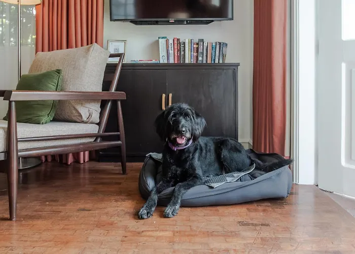 Apartment Miranamin Nest Banaba - Garden View In Historic - Bathtub, Luxury Indoor Plunge Pool, Guest Kitchen, Self-service Breakfast, Rooftop, Pet-friendly Manila